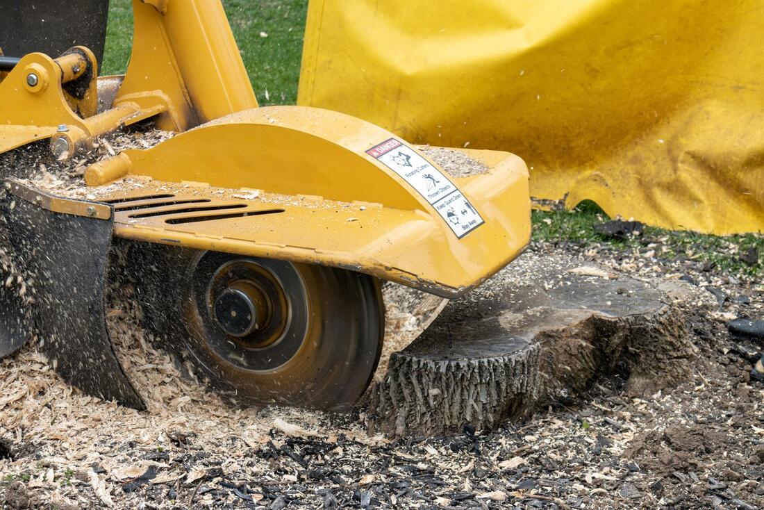 An image of Stump Grinding/Removal in Florin CA