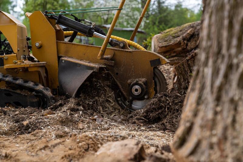 An image of Stump Grinding/Removal Services in Florin CA