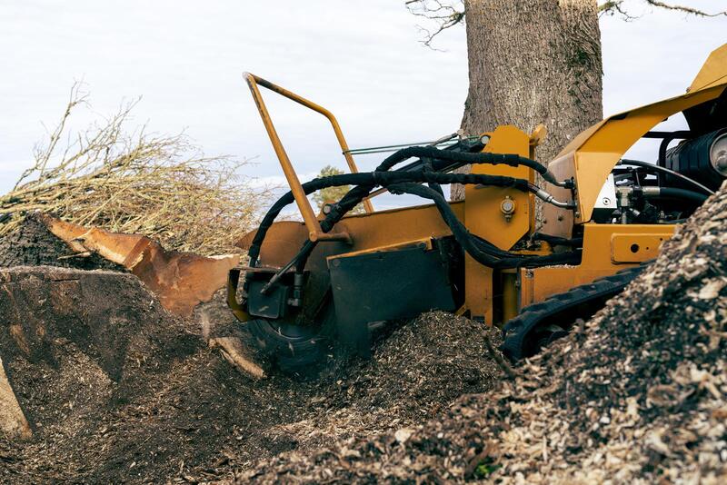 An image of Stump Grinding/Removal Services in Florin CA
