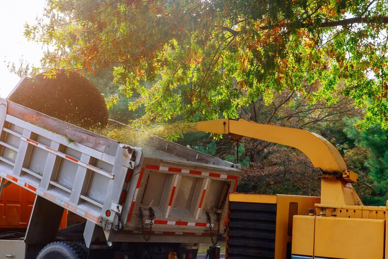 An image of Tree Removal Services in Florin CA